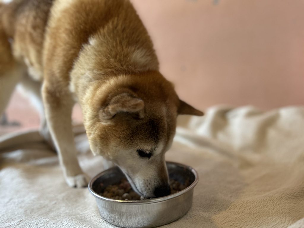 8df4dcffec60659381b25fd398ef72b1