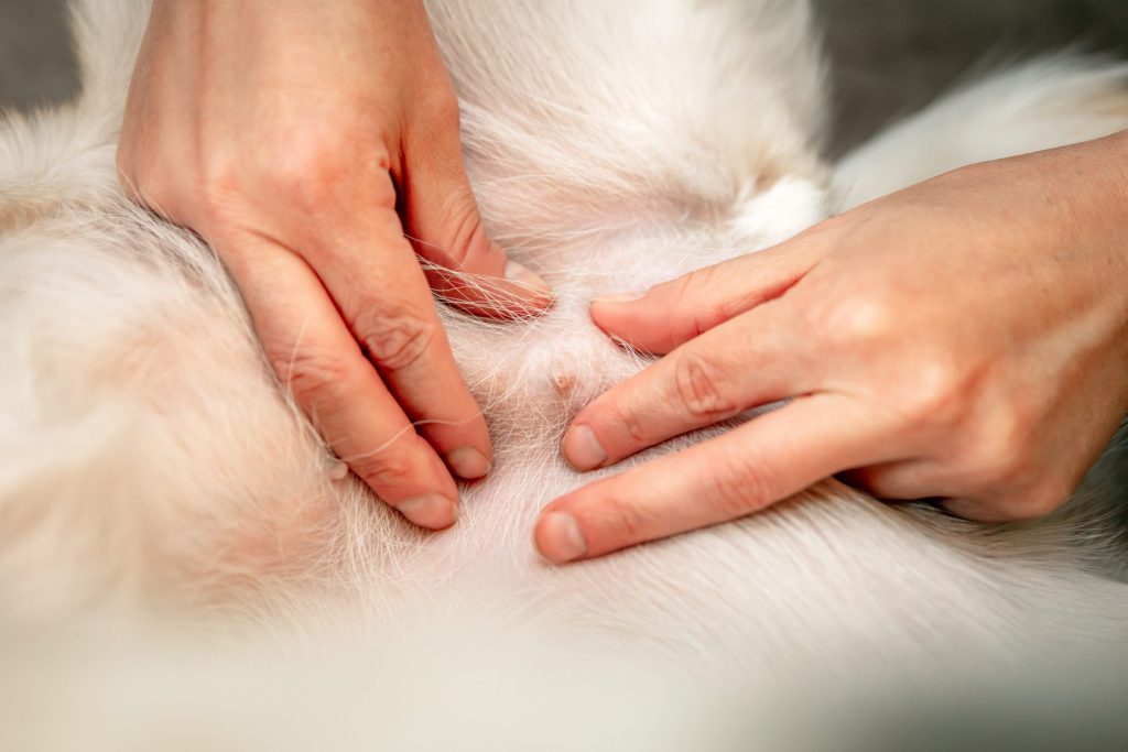 169ebef4e2d2a9d3290a58795b06dbc7 1