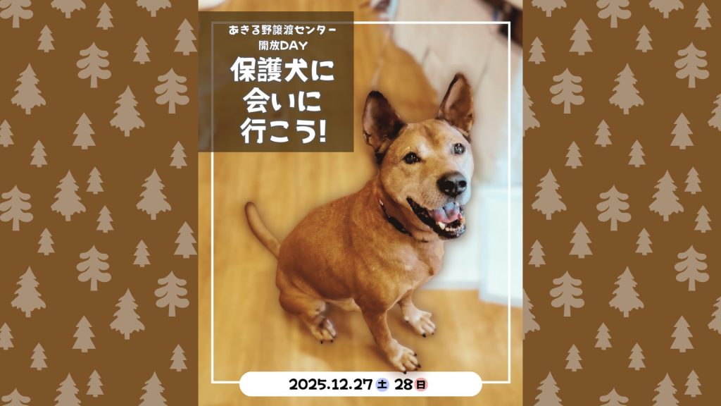 譲渡会・イベントのご案内 7 ea2c8b1c110574807fab943ffd1efe93