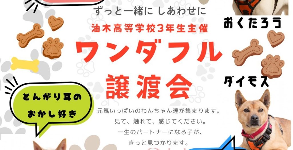 【ピースワンコの譲渡会】12/13(土)「ワンダフル譲渡会」に参加(広島/神石高原町) 1 41e1bdf03a21eb06bce281d78e099690