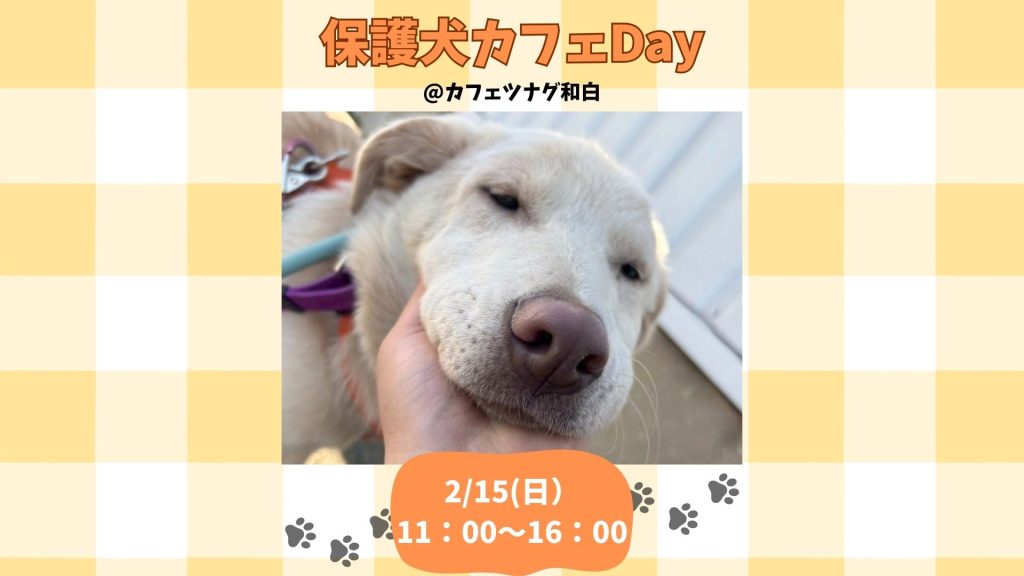 0422fe195802d9a365dc52b7bd5944c6