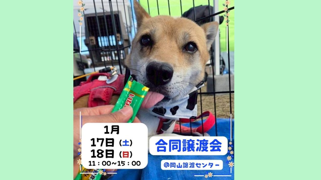 InShot 20260106 200812550