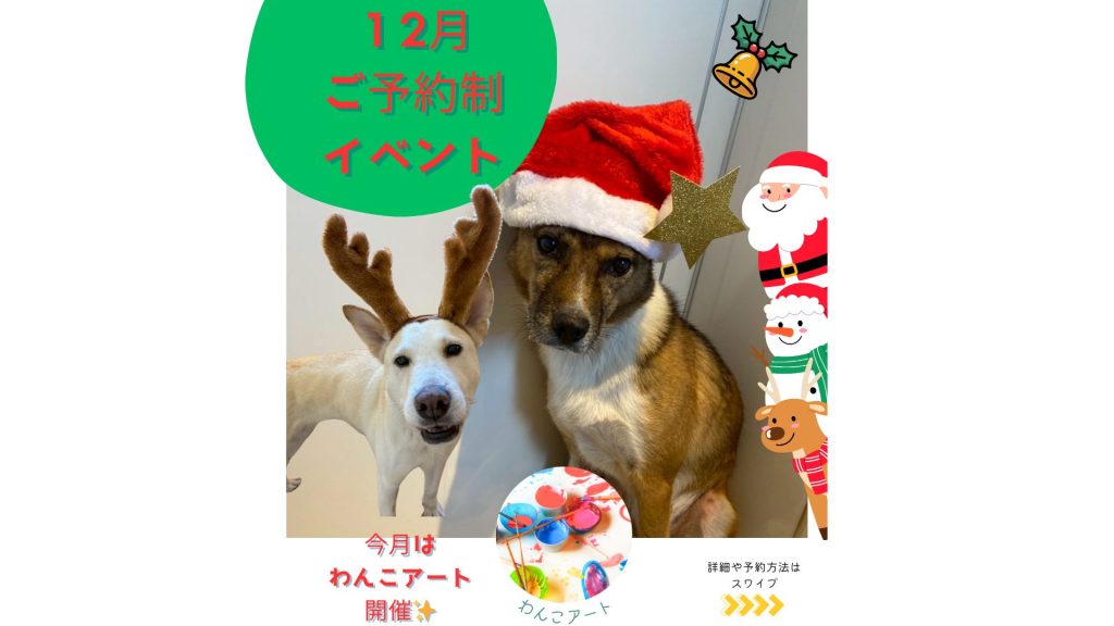 【ピースワンコのイベント】12/24(水)、25(木)「わんこアート教室」を開催(福岡譲渡センター) 2 1ee6831b684c7c7d4ec6d617b7f6a5dc