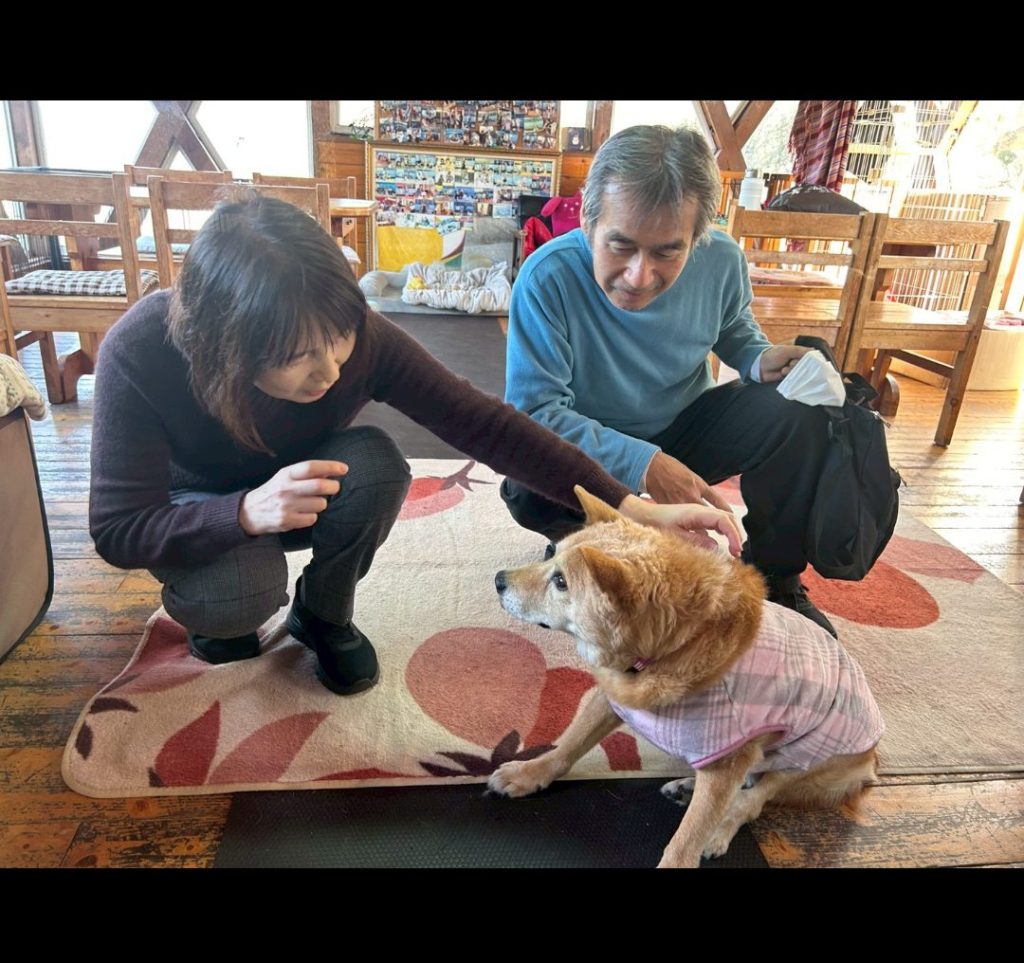 ワンだふるファミリーからの近況報告:2025年12日8日(月曜日) 6 7f33d8edd106ba22cdfc3a8d1d10193f