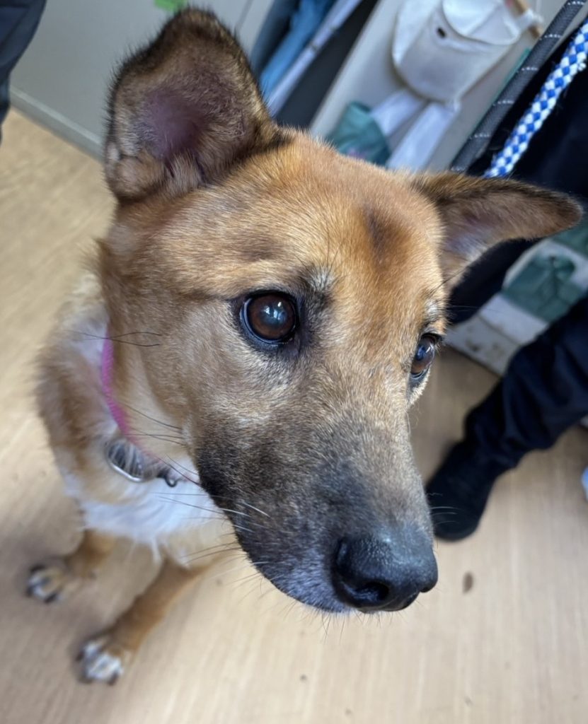 a7d1a187bcf9de4761283acc9d8c3dbe