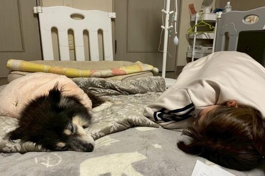 ワンだふるファミリーからの近況報告:2025年12日8日(月曜日) 17 image 11