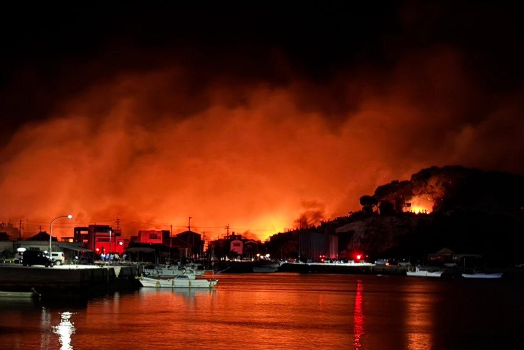 【大分市大規模火災 緊急支援】ペット支援チームを派遣し、地域と連携して捜索保護・物資支援を実施しました 4 2 2 2