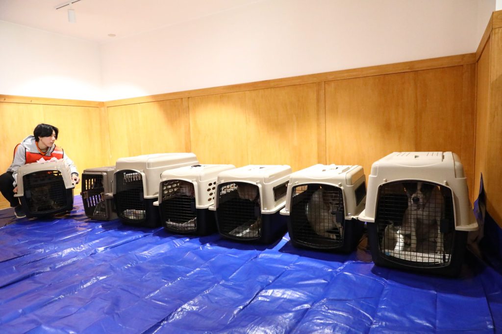 【ペット防災】ピースワンコ浜松譲渡センター、南海トラフ想定で初の「ペット同行避難所開設訓練」を実施 3 IMG 5650