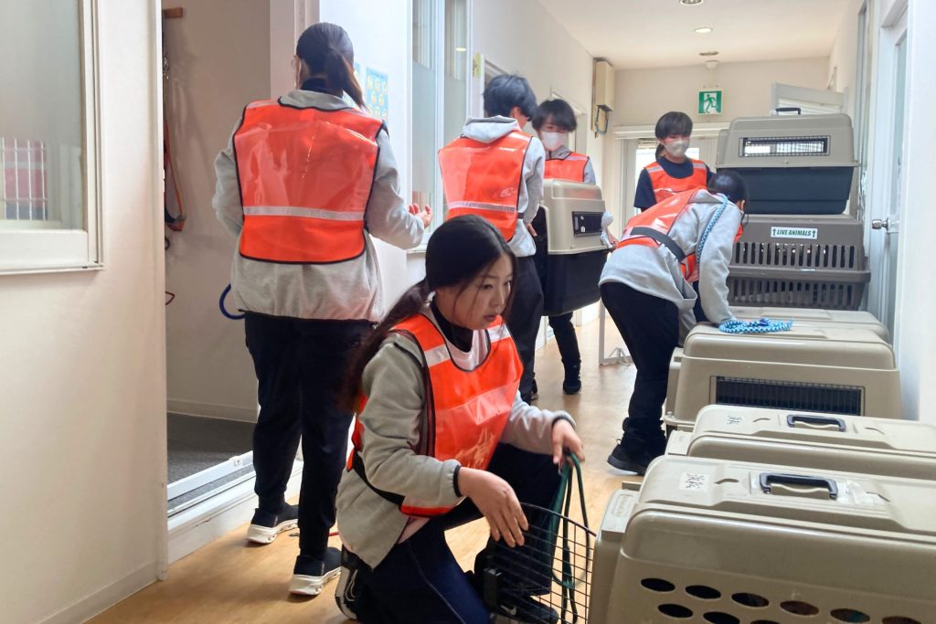【ペット防災】ピースワンコ浜松譲渡センター、南海トラフ想定で初の「ペット同行避難所開設訓練」を実施 2 2 2 3