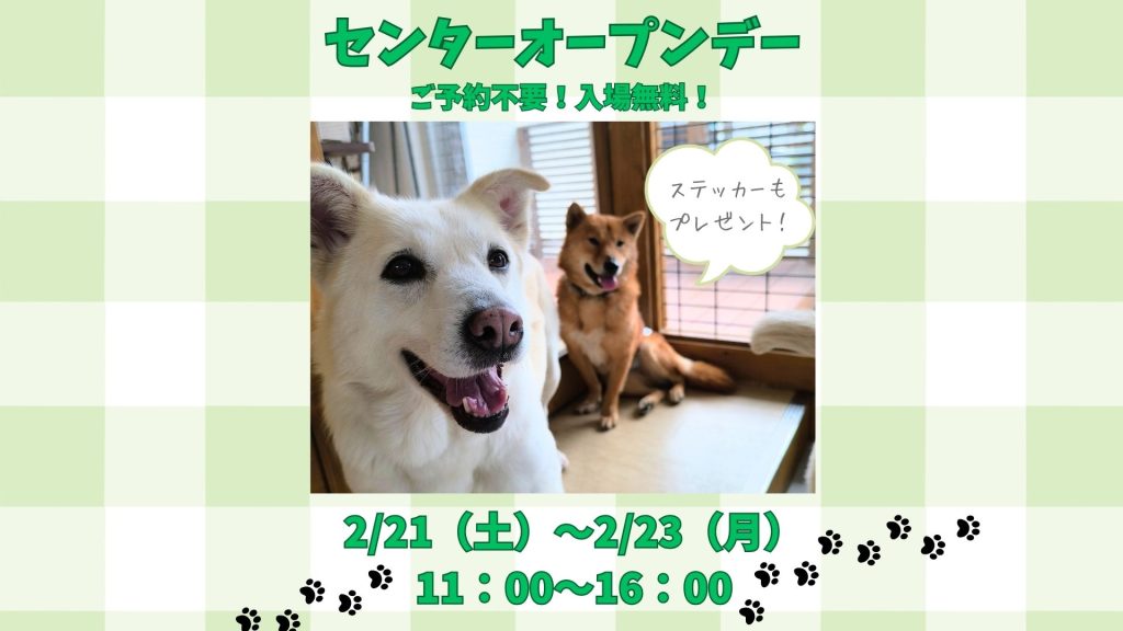 e5e1147c31d8d3dfd3841d99e1c0e203