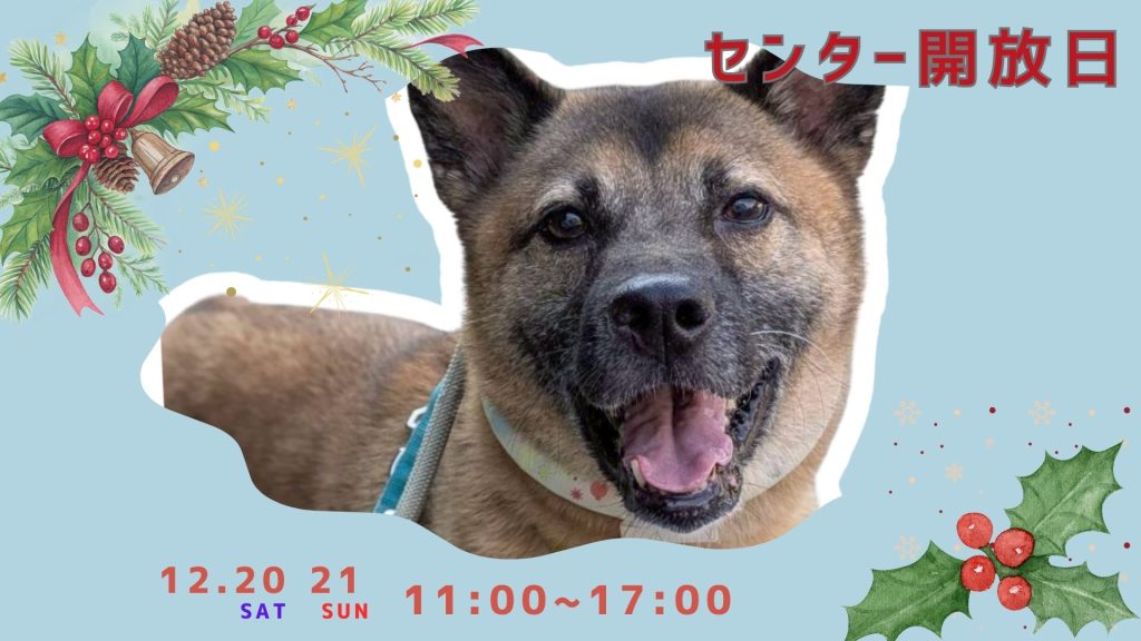 譲渡会・イベントのご案内 8 082a0df485d25daa475c1fd9dcf37b07