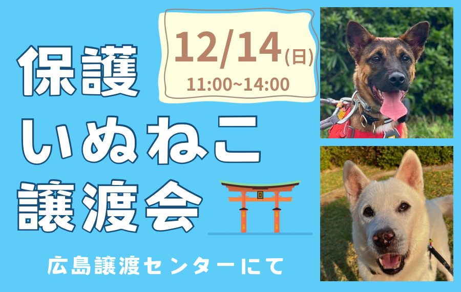 【ピースワンコの譲渡会】12/14(日)「保護いぬねこ譲渡会」開催(広島譲渡センター) 3 eyecatch 2 1