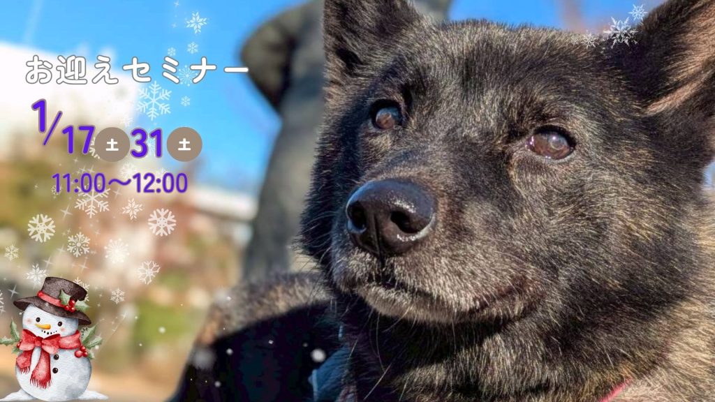 250efe04fc6c0f984998604e563a5369