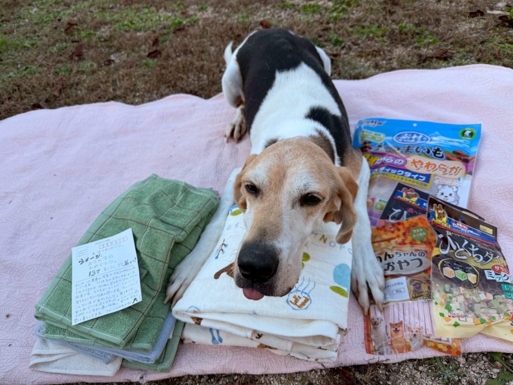 ワンだふるファミリーからの近況報告:2025年12日14日(日曜日) 11 e4f3e565e0f2dc5c990d3196540fdd41