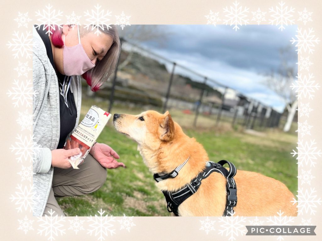 ワンだふるファミリーからの近況報告:2025年12日14日(日曜日) 32 79374f9f1015ffc8aeba04e422be6a06