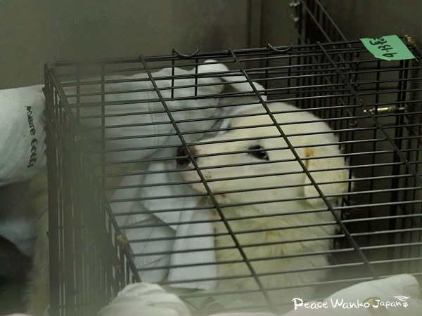 保護はゴールではなく始まり。広島が示す未来 7 20251212 1 4 1