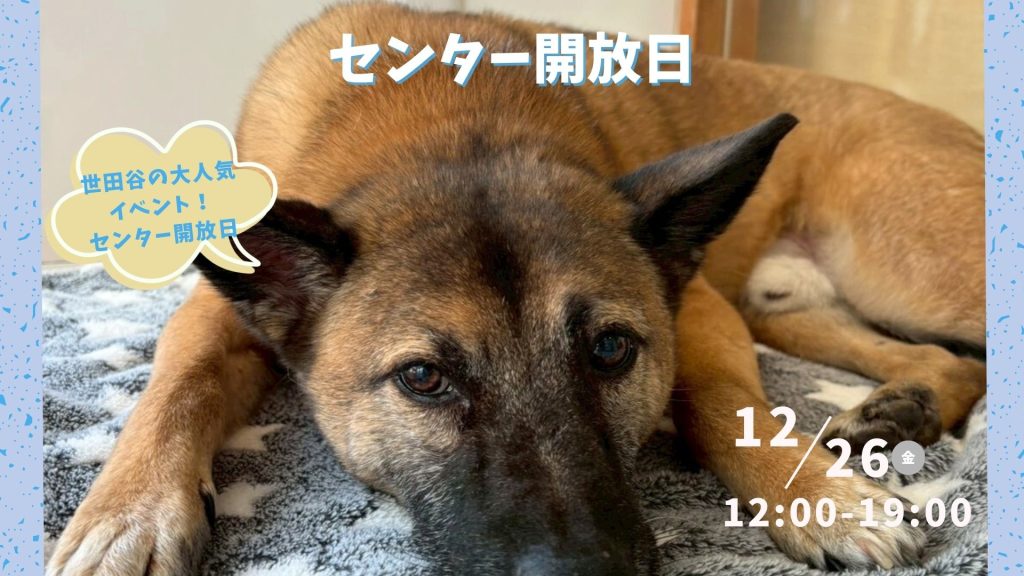 2c83cf58c27ca567e6b9f08cd5487b80