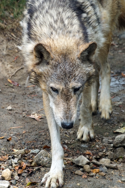 8326916382f9dffb920326acc8adfc6f