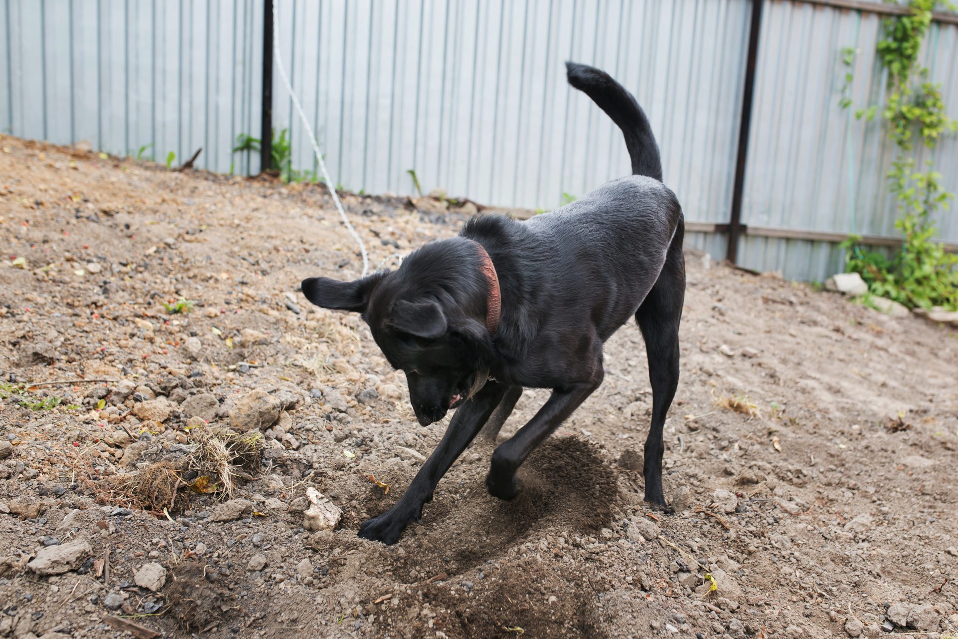 0461c85c2e9c7bdecd9a2bc618193a39