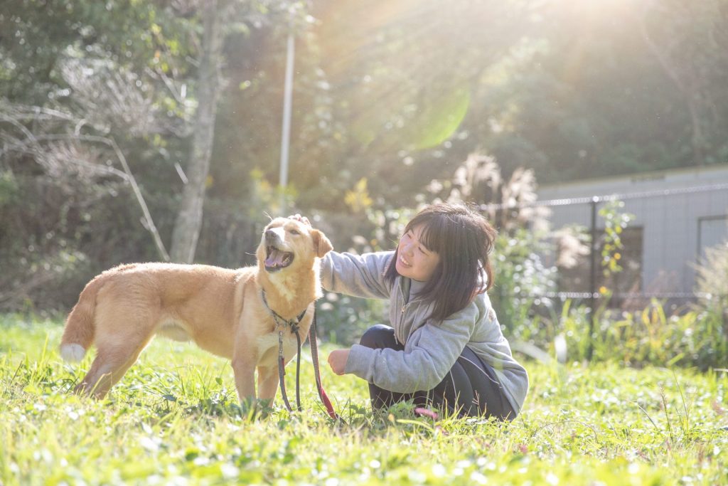 769d5151595cd9657ddd233401339a01