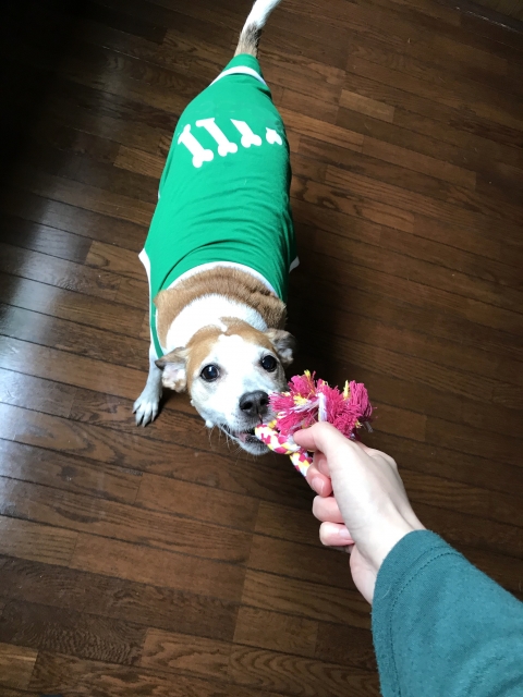 9186a16f336432955f3153043876a039