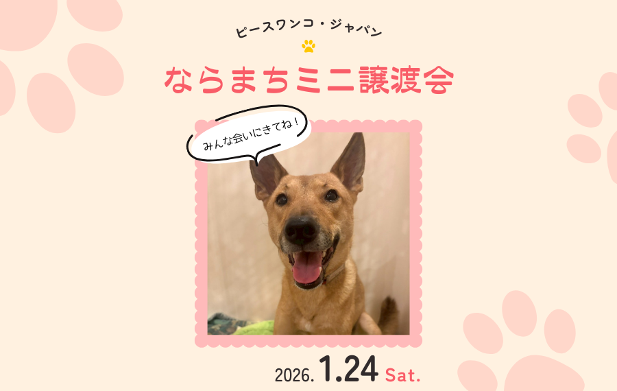 badfc7be2bc563cc8f20c96613cebaa9