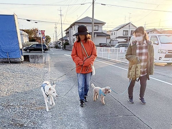 【ワンだふるLIFE】大好きだと気づいた瞬間、動き出した運命。「スパル」の物語 11 20251219 Sg