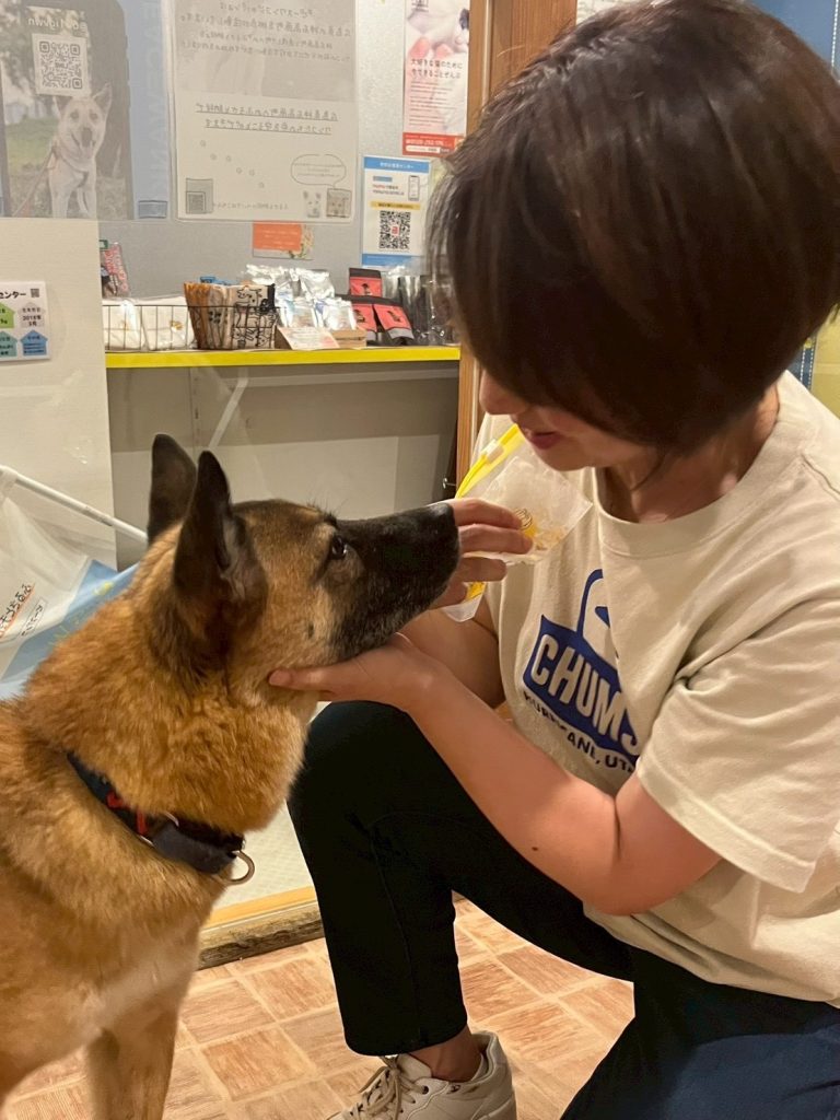 もしも「犬 飼うんじゃなかった」と感じたら…愛犬と末永く暮らすために後悔しないための対策法 8 ad5671cd25a9cc3d2c131975988fbfa1
