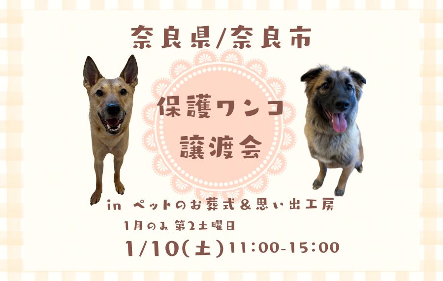 badfc7be2bc563cc8f20c96613cebaa9 1