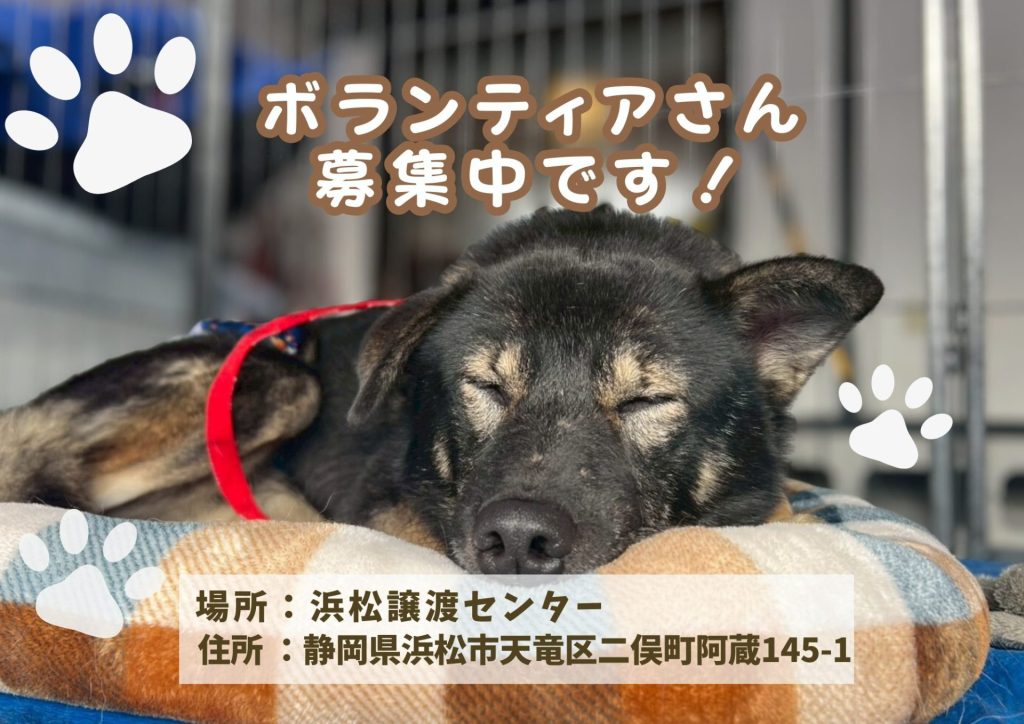 【ピースワンコのイベント】1/25(日)「ボランティア説明会」開催(浜松譲渡センター) 3 40a17bee15ad482098ad04c12d12d61d