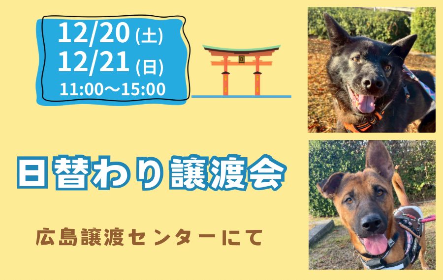 譲渡会・イベントのご案内 5 eyecatch 14