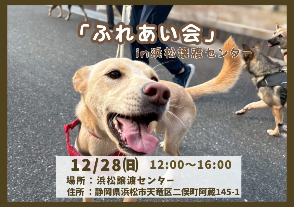 譲渡会・イベントのご案内 2 a4f320226919f17f259cb96f29b7e86f