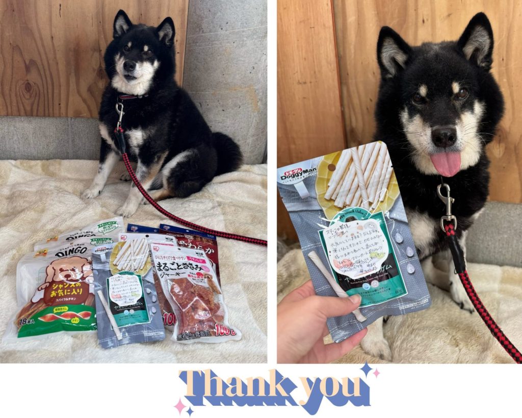 ワンだふるファミリーからの近況報告:2025年12日21日(日曜日) 24 4d556b9432420385a1a5fef16cf294bf