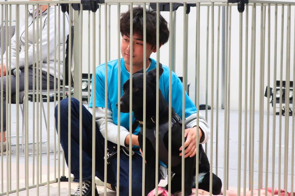 【第65回全国矯正展レポート】全国初の刑務所「保護犬育成プログラム」で活躍した保護犬“パクス”が出演 5 4 8