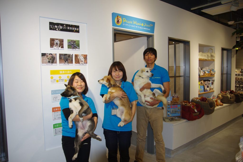 ピースワンコ・ジャパン 湘南譲渡センター、2026年3月22日クローズのお知らせ 2 IMGP0534