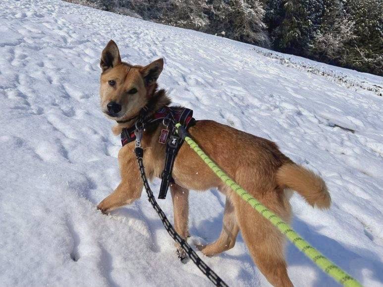 d403f8607db61a440d8429f0b3f66c46