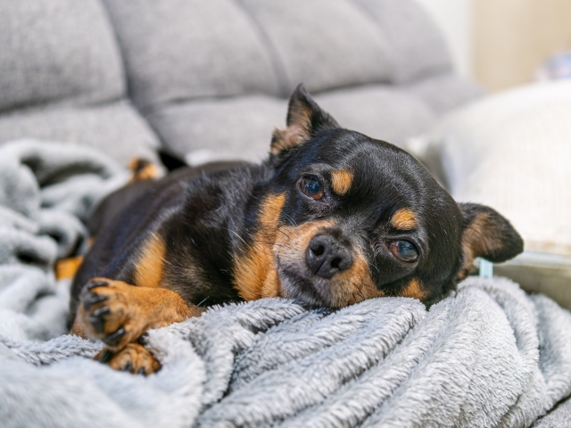 521eb1aab5e5234d55c42d2420b8cd3b