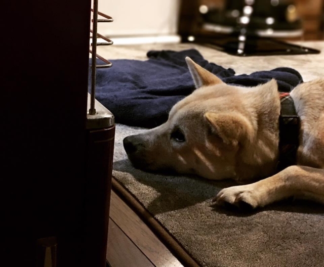 ba0b2184c79c9d95365ec45fbb29be17