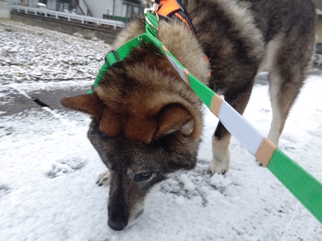 3d711245bec4858aa22c7d9a1f197842