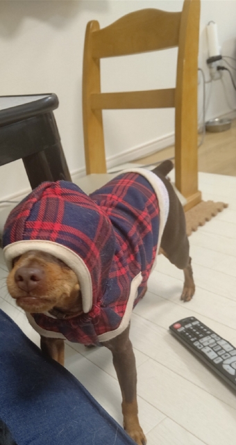 eb3942589d7803ca042e3a44a19d82e0