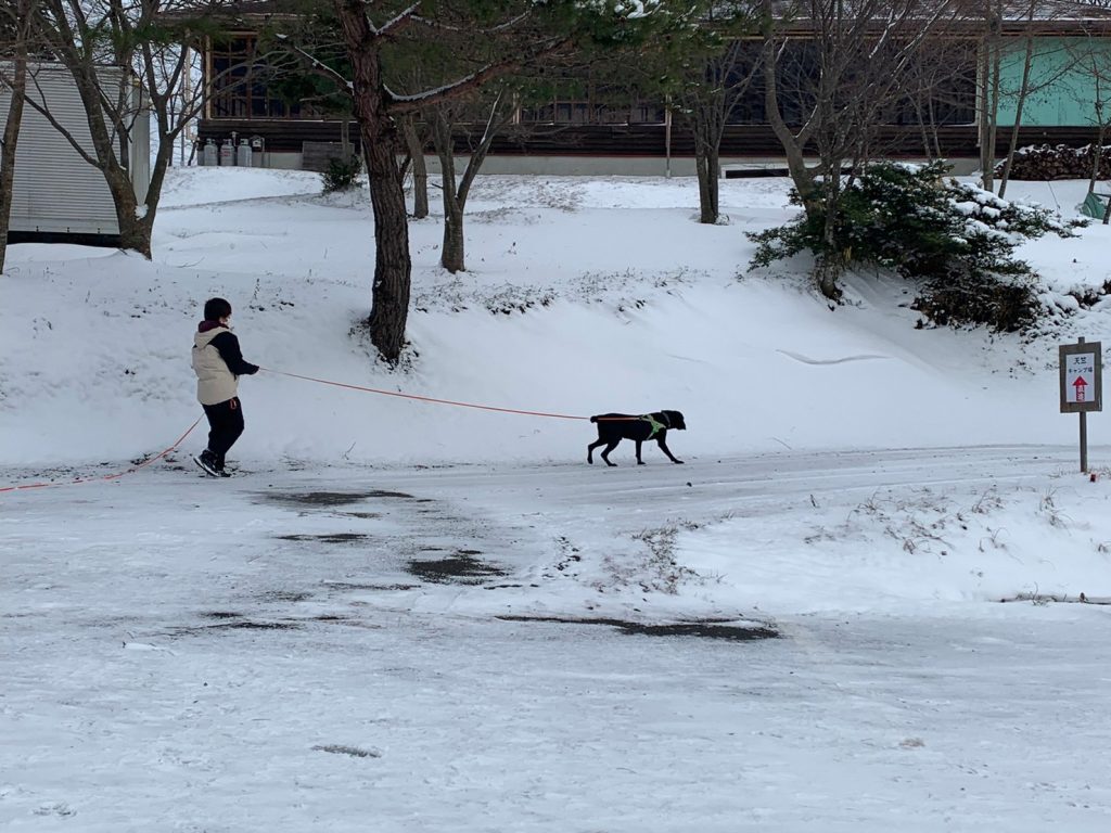 fb3f900a14ba2683bbe46be8f8aeff84