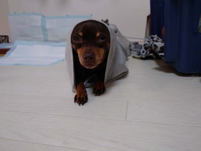 ecd45fdfa8a20522499ddef25a9edbe2