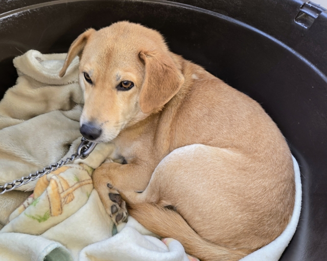 a6197c7d6d43e8abfa7baa6c18e95f7c