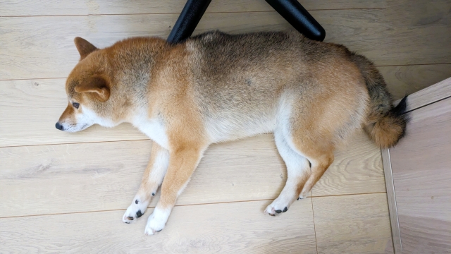 a106a9f30911e5c030edddb4dbc0d33a