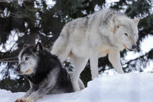 dbd3f30006904a8eb1a9580a859df8cf