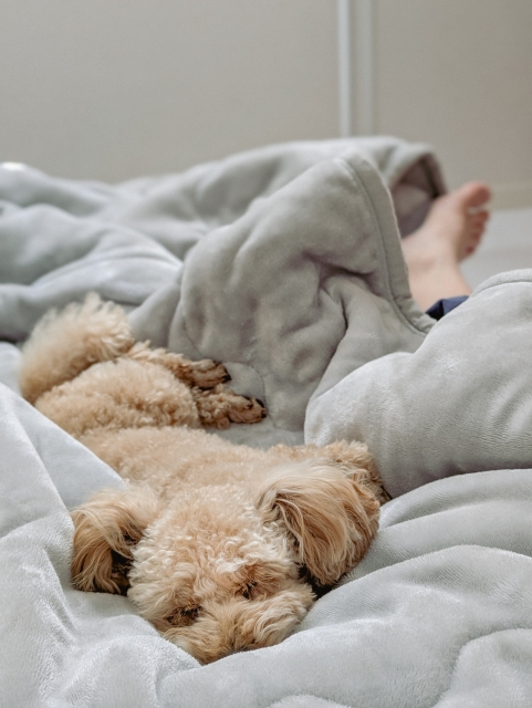 5dd3ce152b4f3dc7328276b6e835ce03