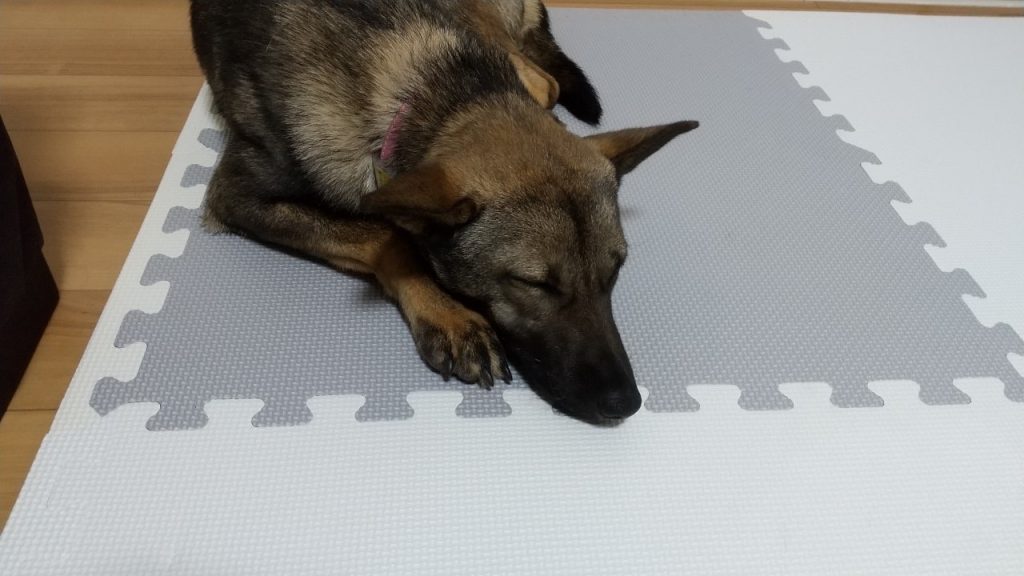 62cfa22e823f3ce18277d5fb4518ebe1