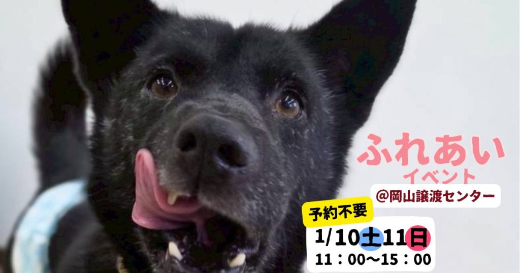 【岡山】ふれあいイベント【1月】