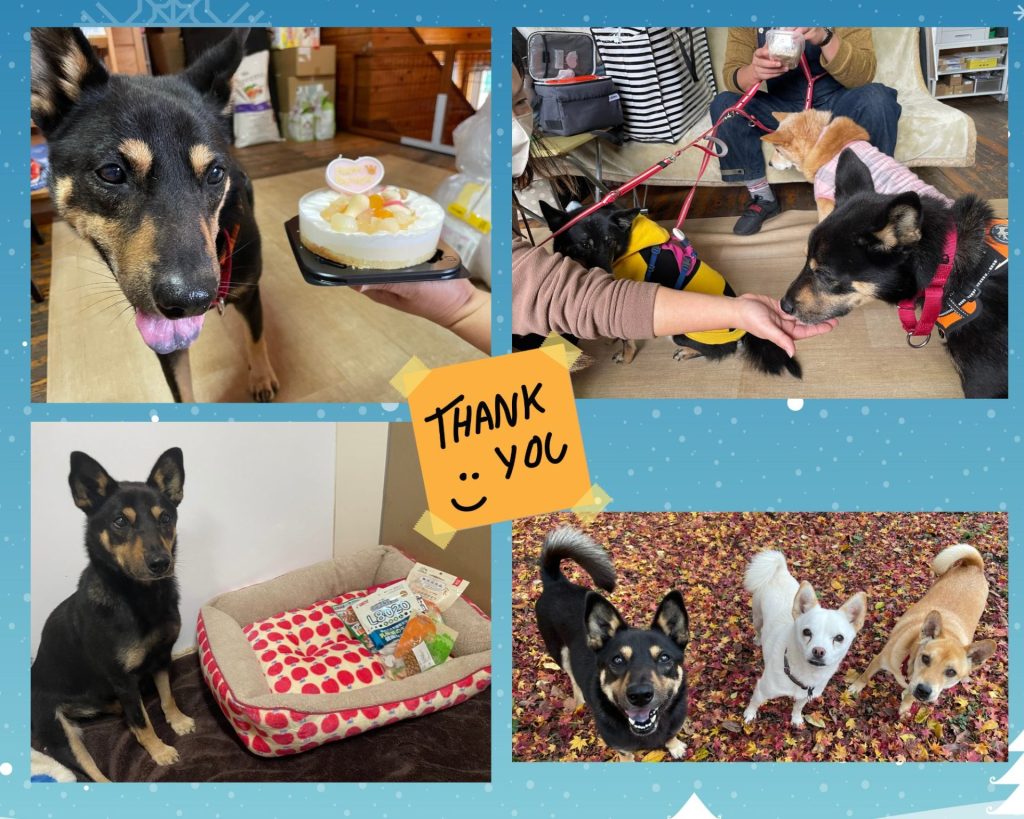 0bfca26adf19ef96b9b0efb9e3110348