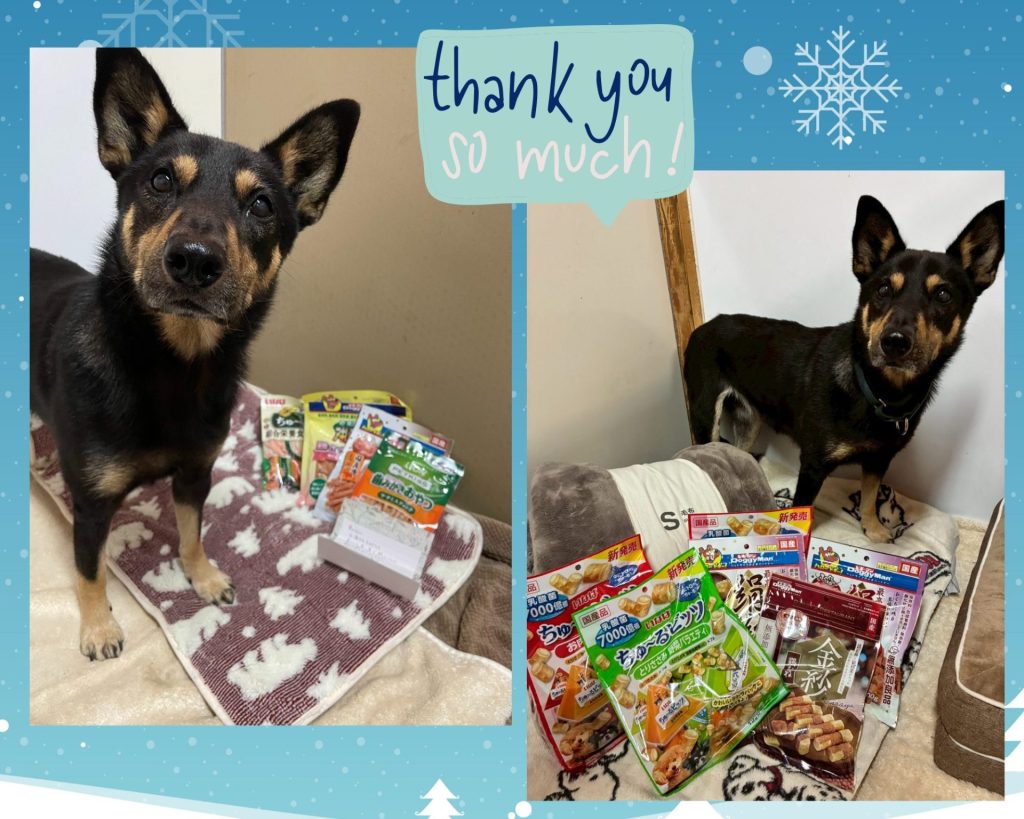 fa89f08e19f7fab14ced814620e99070